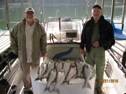 Nice Striped Bass